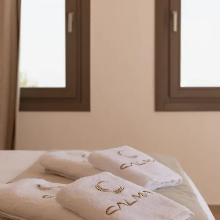 Calma Mykonos 아파트 프사로우