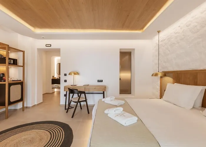 Calma Mykonos * 프사로우